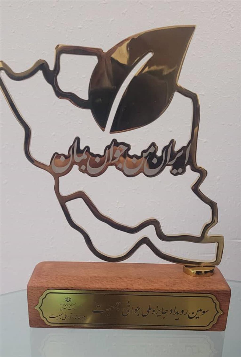 رئیس دانشگاه علوم پزشکی شهرکرد مدیر برتر رویداد جایزه ملی جوانی جمعیت