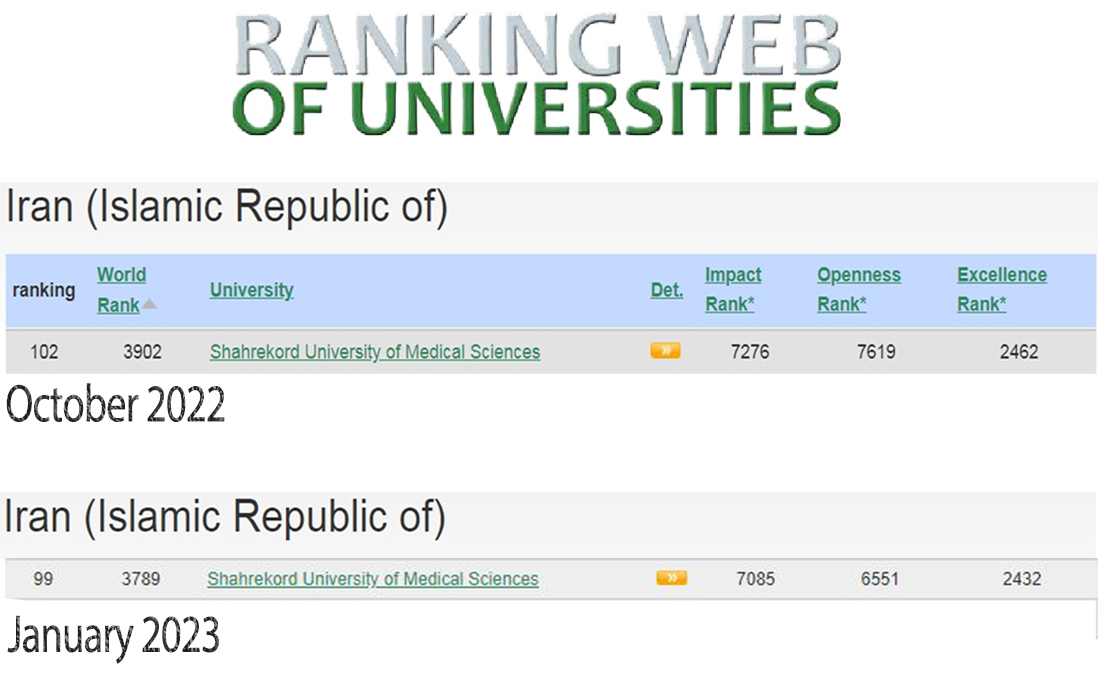 Upgrading the Webometrics ranking of the University based on the report