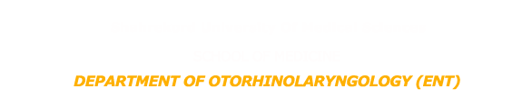 Department of Otorhinolaryngology (ENT)